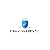 PEGASO SECURITY SPA Company Profile .